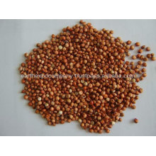 Red Sorghum manufacturer